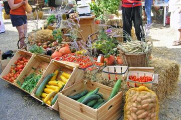 Marché des producteurs